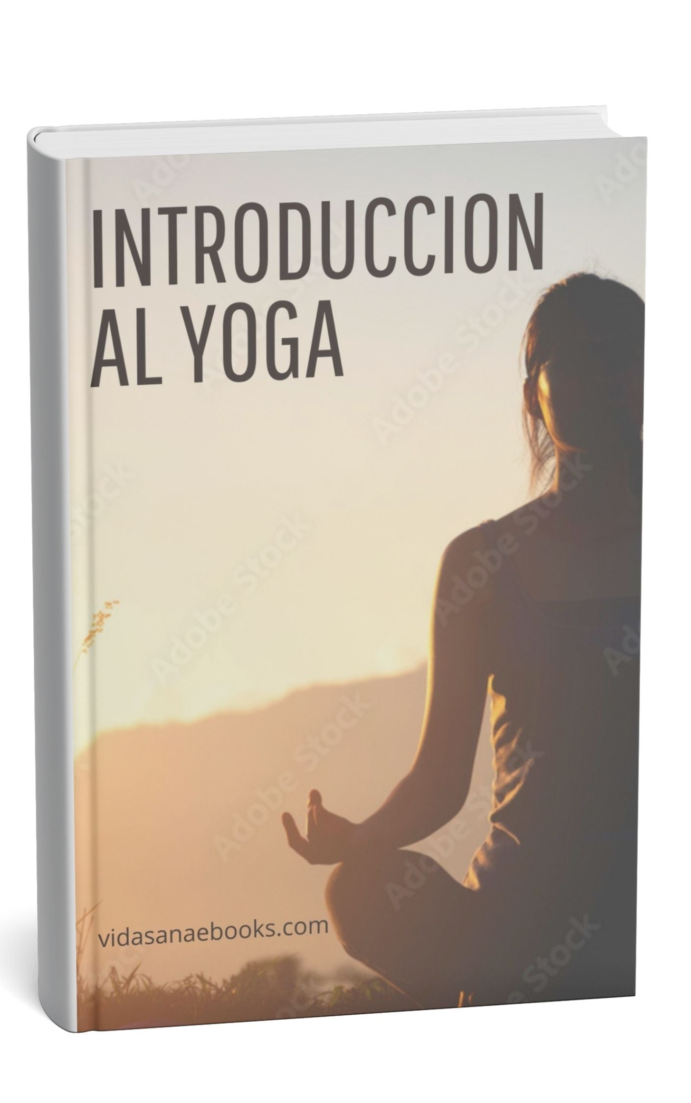 "Introducción al Yoga: Un Viaje de Armonía para Cuerpo, Mente y Alma"